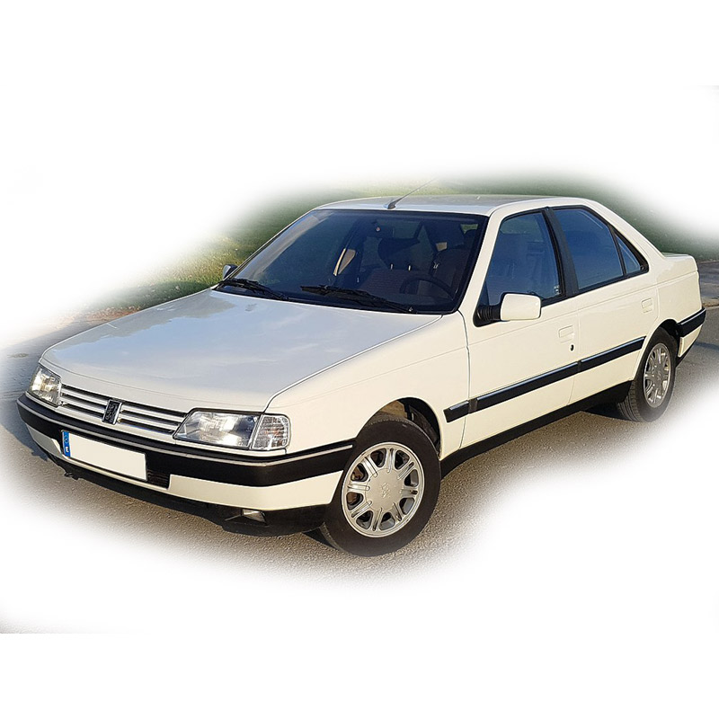 Reproduktory PEUGEOT 405 Renegade RX62 s redukcemi